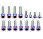 Preview: Better Bolts Fox 40 Grip X2 Federgabel Schrauben-Kit Titan rainbow