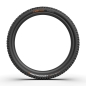 Preview: Cast Protagonist Gravity TLR HardWall SmartEVO DH 29x2.4 Reifen