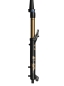 Preview: Fox 36 Float E Factory Grip X H/L 160mm/44mm 29"/15x110mm shiny black Federgabel