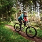 Preview: Kids Ride Shotgun MTB-Kindersitz & Handgriffe Combo