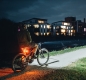 Preview: Lupine C14 E-Bike Rücklicht mit Bremslicht 35.6mm