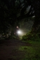Preview: Lupine Piko TL Minimax Taschenlampe