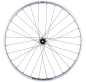 Preview: NEWMEN Beskar 30 Strong Enduro/DH 29" 12 x 148mm 6-Loch Sram XD silver LTD Laufrad hinten