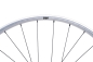 Preview: NEWMEN Beskar 30 Strong Enduro/DH 29" 12 x 148mm 6-Loch Sram XD silver LTD Laufrad hinten