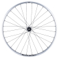 Preview: NEWMEN Beskar 30 Strong Enduro/DH 29" 12 x 148mm 6-Loch Shimano Micro Spline silver LTD Laufrad hinten