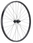 Preview: NEWMEN Forge 30 Base Trail 29" 12 x 148mm Shimano Micro Spline 6-Loch Laufrad hinten