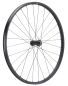 Preview: NEWMEN Forge 30 Light XC 29" 15 x 110mm 6-Loch Laufrad vorne