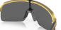 Preview: Oakley Sutro Lite Olympic Gold/Prizm Black Brille
