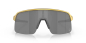 Preview: Oakley Sutro Lite Olympic Gold/Prizm Black Brille