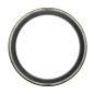 Preview: Pirelli P Zero Race RS Italy 700x26 black/retro Reifen