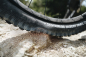 Preview: Schwalbe Albert Radial Gravity Pro Addix Ultra Soft TLR E-50 29x2.60 Reifen