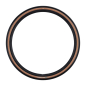 Preview: Schwalbe G-One R Pro TLR Addix Race V-Guard E-25 Transparent Sidewall 700x45 Reifen