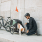 Preview: Thule Bexey Dog hazy green Grösse M Anhänger