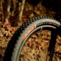 Preview: Vittoria Barzo XC Trail TLR, 4C Graphene 2.0, 60 TPI, black 29x2.60 Reifen