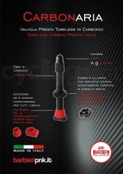 Barbieri Carbonaria Carbon Tubeless Ventile 45mm