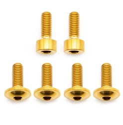 Better Bolts Fox 34 SL Fit4/Grip SL Federgabel Schrauben-Kit Titan gold