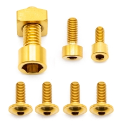 Better Bolts Fox 36 Grip/Grip2/GripX/Grip X2/Rhythm (2026+) Federgabel Schrauben-Kit Titan gold