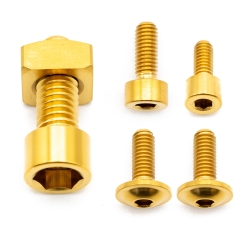 Better Bolts Fox 36 Grip/Grip2/GripX/Grip X2/Rhythm (2021-2025) Federgabel Schrauben-Kit Titan gold