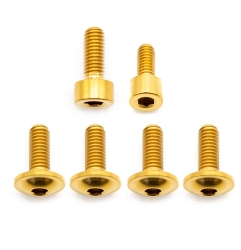 Better Bolts Fox 36 SL Grip/Grip2/GripX/Grip X2/Rhythm (2026+) Federgabel Schrauben-Kit Titan gold