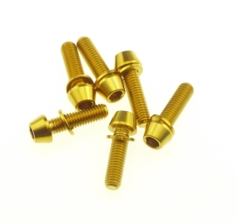 Better Bolts Titan Race Face Turbine R Vorbau Schrauben - Set gold