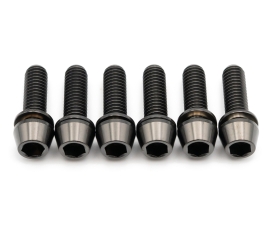 Better Bolts Raceface Turbine R Vorbau M5x17mm Titan Schrauben-Kit black