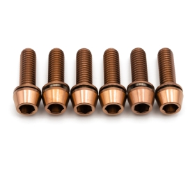 Better Bolts Raceface Turbine R Vorbau M5x17mm Titan Schrauben-Kit copper