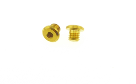 Better Bolts Titan Shimano XTR/XT/SLX/Deore/Saint/Zee Entlüftungsschrauben - Set Bremsgriff gold