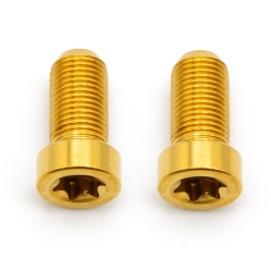 Better Bolts Sram AXS Discrete Schrauben Set Titan gold