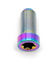 Better Bolts Sram AXS POD Controller Schraube Titan rainbow