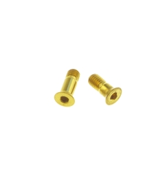 Better Bolts Titan Sram XX1/X01/GX/NX, X01 AXS/GX AXS Eagle Schaltwerkrädchen - Schrauben - Set gold