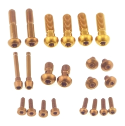 Better Bolts Sram Motive Ultimate/Silver Disc Brake Schrauben Kit Titan copper