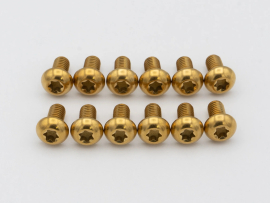 Better Bolts Titan Bremsscheiben Befestigungsschrauben - Set gold