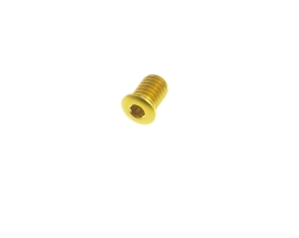 Better Bolts Sram Eagle Mount Plug Schalthebelschraube gold