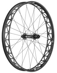 DT Swiss BR 2250 Classic 26" 12 x 190/197mm Fatbike Laufrad hinten