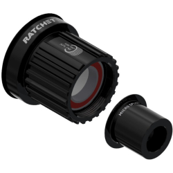 DT Swiss Ratchet LN Shimano Micro Spline 12fach Freilauf 12x148