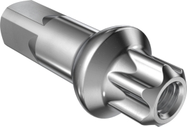 DT Swiss Squorx Pro Head Pro Lock Messing Nippel 2.0/15mm silber