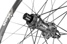 Preview: DT Swiss X 1900 Spline 29