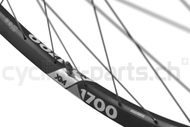 DT Swiss XM 1700 SPLINE® 30 29" 12 x 148mm Sram XD 12f. Laufrad hinten