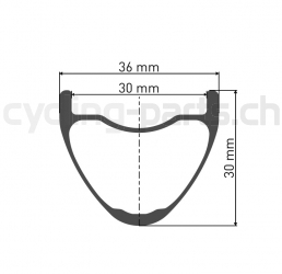 DT Swiss XMC 1200 Spline® 27.5/30 Boost 15 x 110mm Laufrad vorne