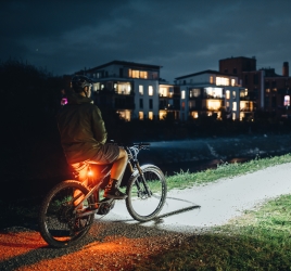 Lupine C14 E-Bike Rücklicht mit Bremslicht 35.6mm