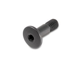 Lupine GoPro Schraube