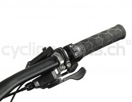 Lupine SL F Bosch 31.8mm (International) E-Bike Scheinwerfer