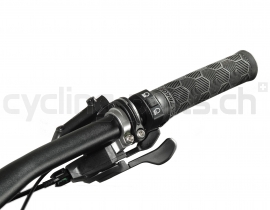 Lupine SL F Brose 31.8mm Int. E-Bike Scheinwerfer