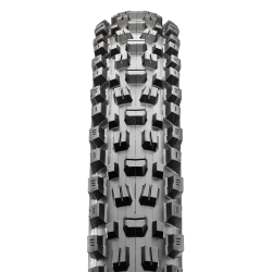 Maxxis Assegai TR, EXO, 60 TPI, Dual Compound 29x2.6 Reifen