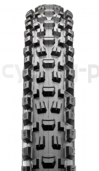 Maxxis Assegai TR, 60 TPI, 3C Maxx Terra Wide Trail 29x2.5 Reifen