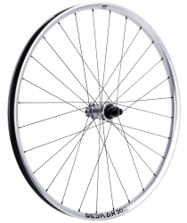 NEWMEN Beskar 30 Strong Enduro/DH 29" 12 x 148mm 6-Loch Shimano Micro Spline silver LTD Laufrad hinten