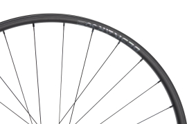 NEWMEN Beskar 30 Light XC 29" 12 x 148mm 6-Loch Shimano Micro Spline Laufrad hinten