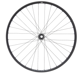 Preview: NEWMEN Beskar 30 Strong DH 29" 15/20 x 110mm 6-Loch Laufrad vorne