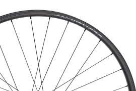 Preview: NEWMEN Beskar 30 Strong DH 29" 15/20 x 110mm 6-Loch Laufrad vorne