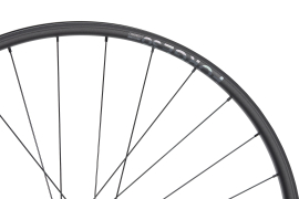 NEWMEN Forge 30 Base Trail 29" 12 x 148mm Shimano Micro Spline 6-Loch Laufrad hinten